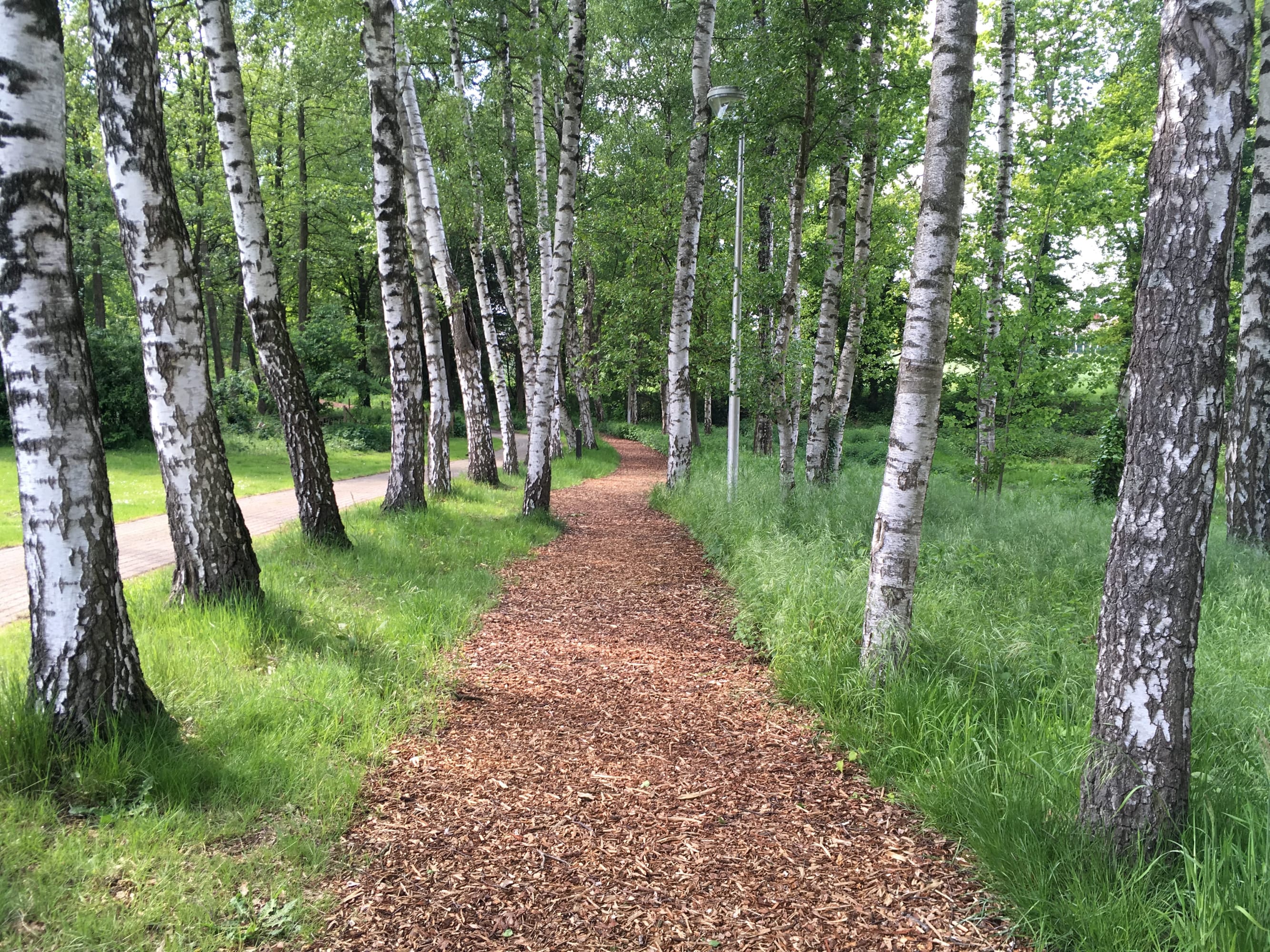 4.Woonwijken%20Boneput Hoogveld-Solterveld%20Bree%20joggingpadBoneput